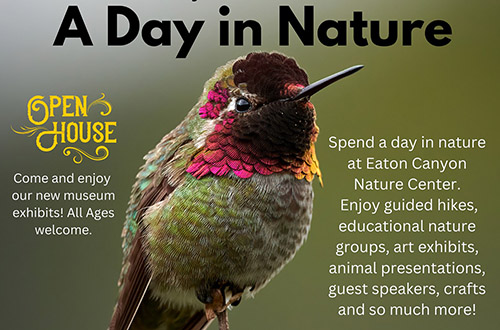 A Day In Nature – June 24th